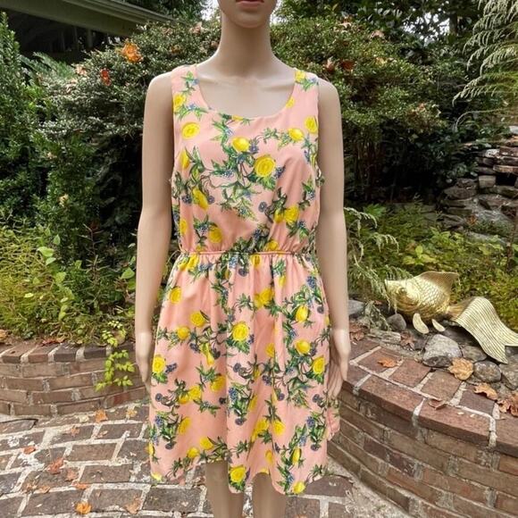 Pink Owl Dresses & Skirts - Pink Owl Dress Womens Large Pink Lemon Print Fit & Flare Cutout Back Sleeveless